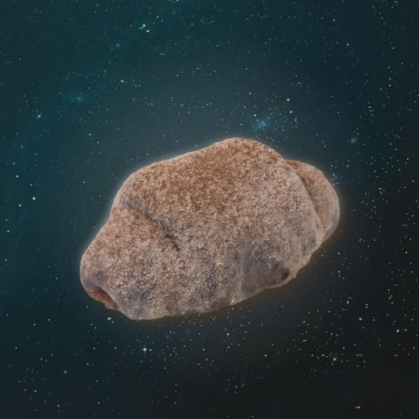 Choco Mochi