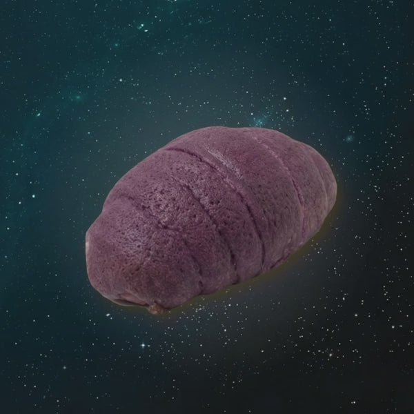 Ube Mochi